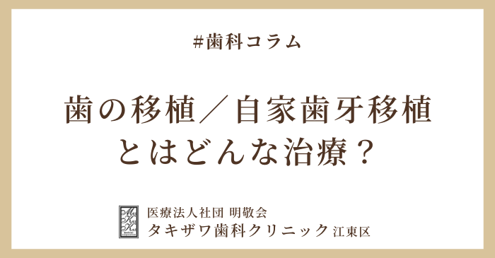 歯の移植（自家歯牙移植）ってどんな治療？