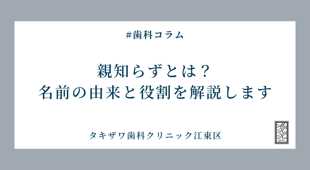 親知らずとは？名前の由来と役割を解説します